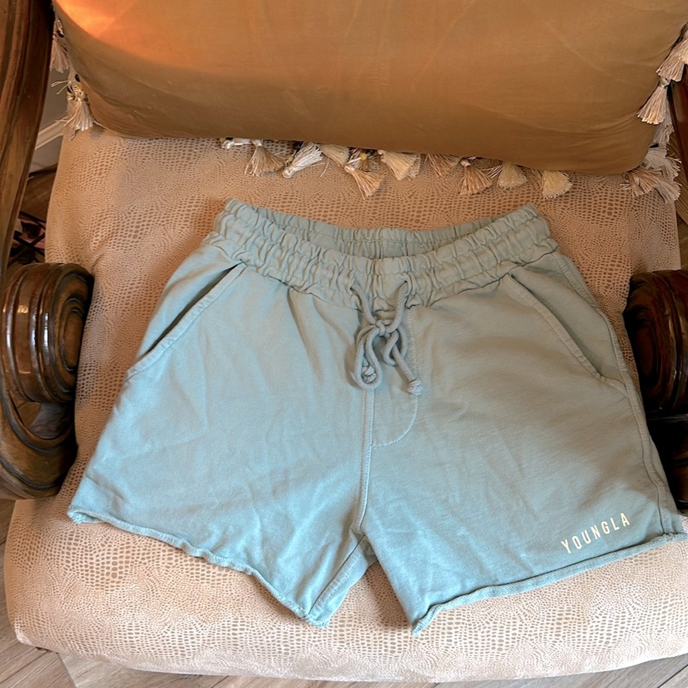 4” Inseam Medium Men’s gym shorts in a Seagram green/blue color